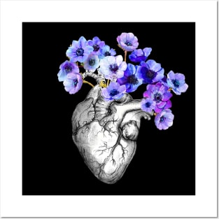 Blue Anemones Heart Human Anatomy Posters and Art